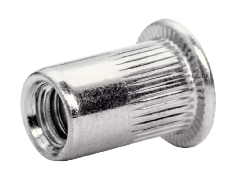 Rapid 5000673 Ecrous pour rivets aveugles avec foret - Acier galvanisé - M6 (20pcs)