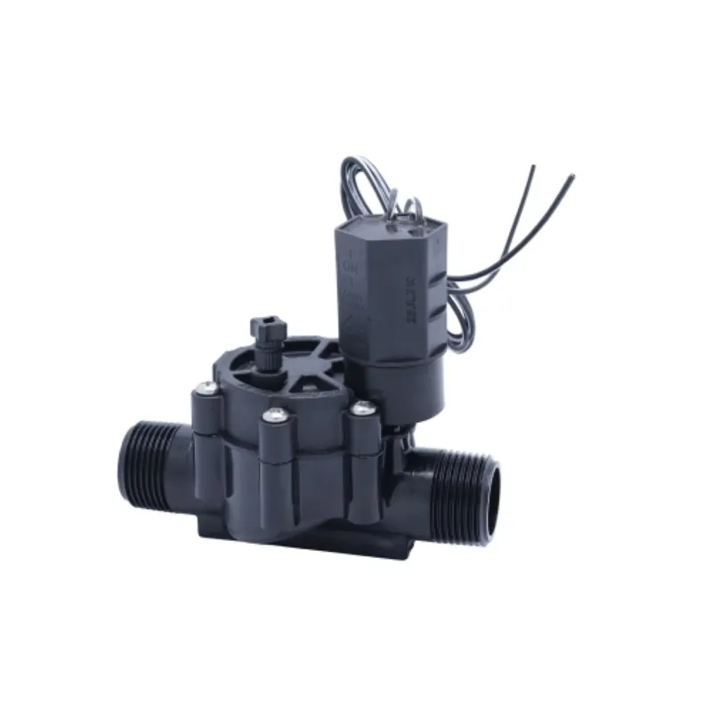 Rain Bird 100DVMM Électrovanne filetage mâle - 1"