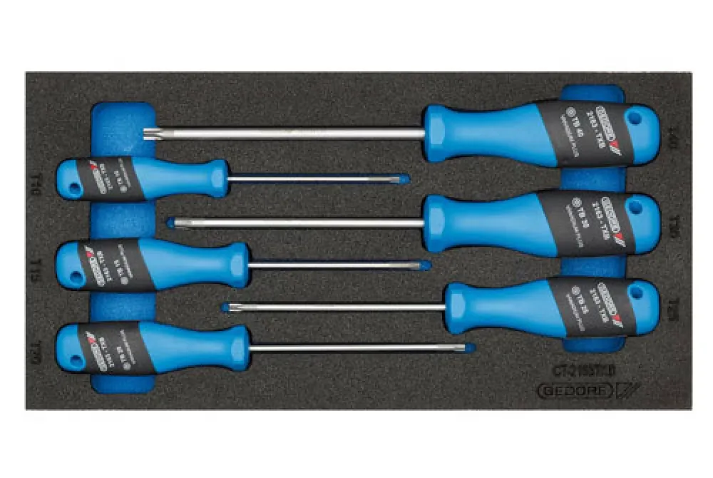 Gedore 1500 CT1-2163 TXB Jeu de tournevis torx de sécurité 3-C 6 pièces en module 1/3 CT