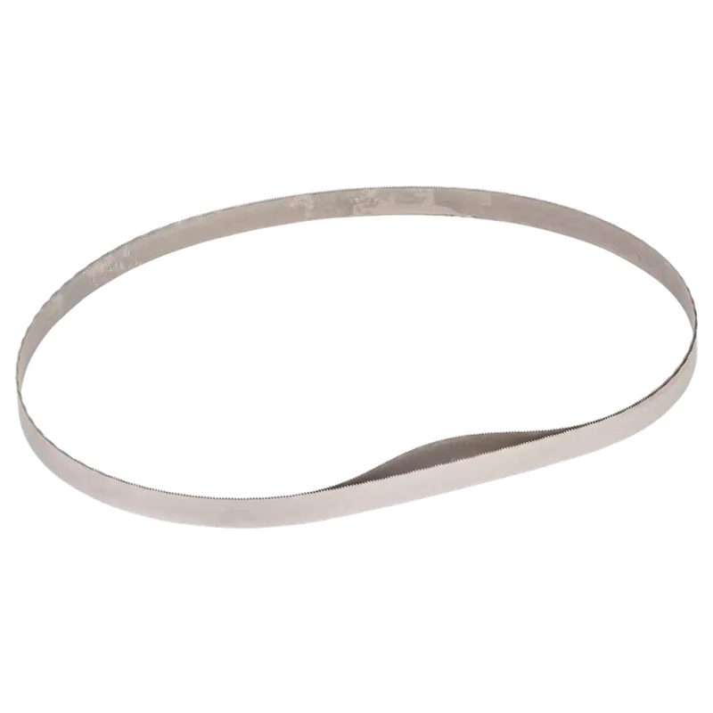 Bosch 2608649001 - Lame de Scie à ruban Bi-Metal, CB 2824, 24 TPI, CB 2824 2x