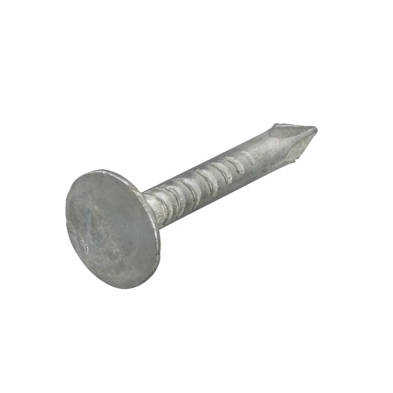 Proftec Clou pour asphalte VZ PK 3.0X25 - 1KG