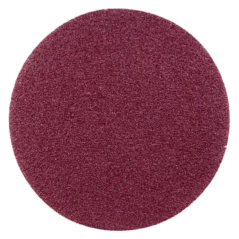 Rhodius 304138 PROline ll KERR V Disque abrasif velcro - K40 - 125mm (50 pcs)