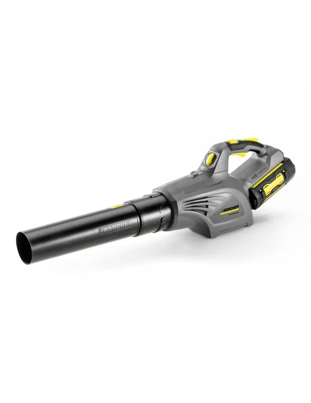 Souffleur LB 850 Bp - 14421100 - Karcher