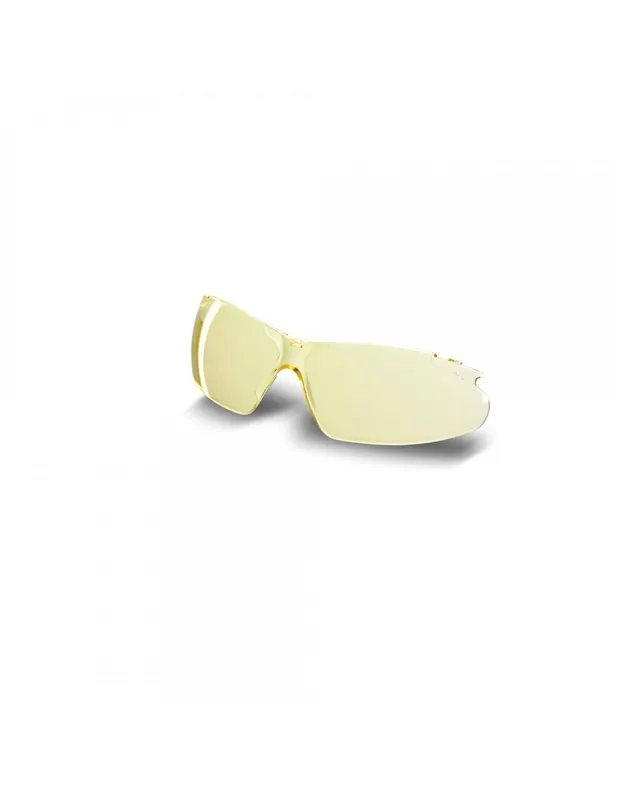 Verres de remplacement - Teintés - 60254870 - Karcher