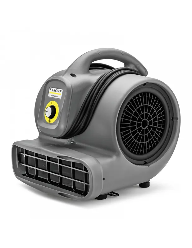 Souffleur AB 20/1 EC 10040620 - Karcher