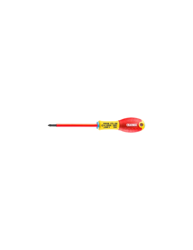 Tournevis isolés 1000 Volts Pozidriv PZ1X100 E165418 - Expert By Facom