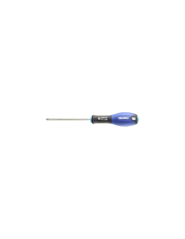 Tournevis Pozidriv PZ1X100 E165335 - Expert By Facom