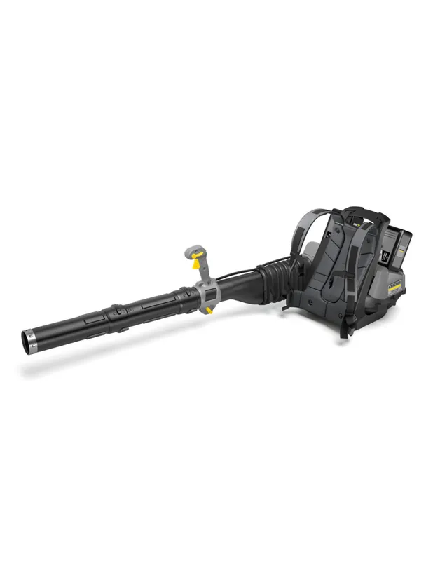 Souffleur LBB 1060/36 Bp Pack 10425100 - Karcher