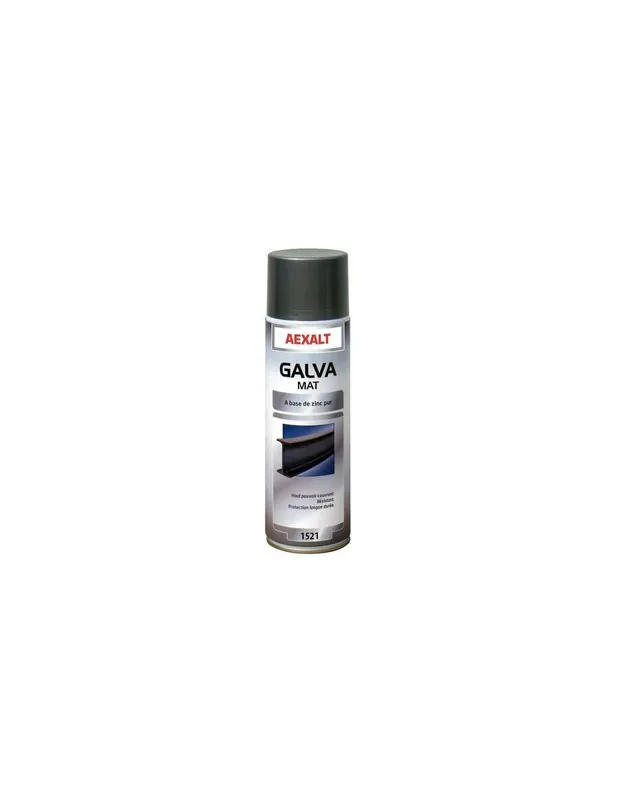 Revêtement galvanisant GALVA MAT 650 ml 1521 - Aexalt Pluho