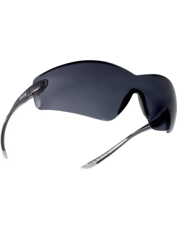 Lunette de protection fumée COBRA COBPSF - Bolle