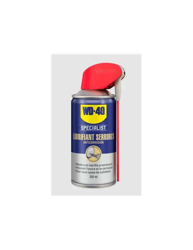 Lubrifiant serrures anticorrosion spray 250 ml 33303 - WD40