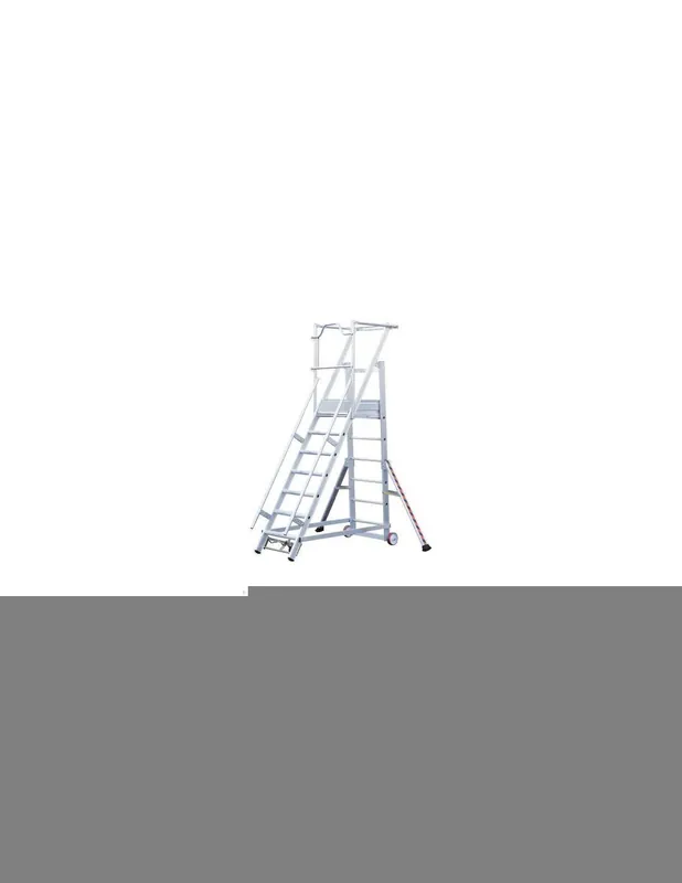 Escalier de rayonnage mobile 10 marches 02271110 - Tubesca