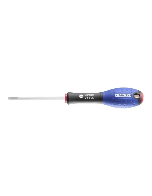 Tournevis fente mecanicien 2,5x75 mm E160201 - Expert by Facom