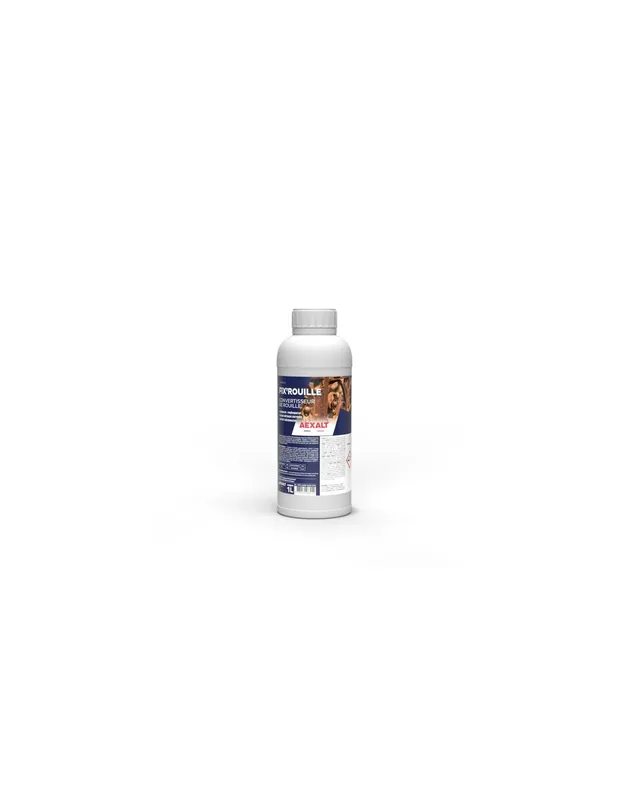 Convertisseur de rouille FIX’ROUILLE CR801 - Aexalt Pluho