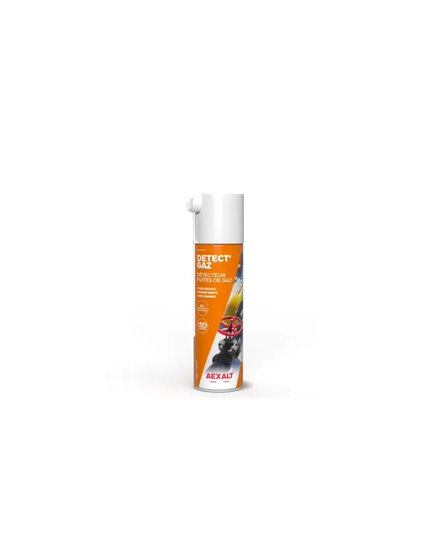 Détecteur fuites de gaz DÉTECT’GAZ (650 ml) 1588 - Aexalt Pluho