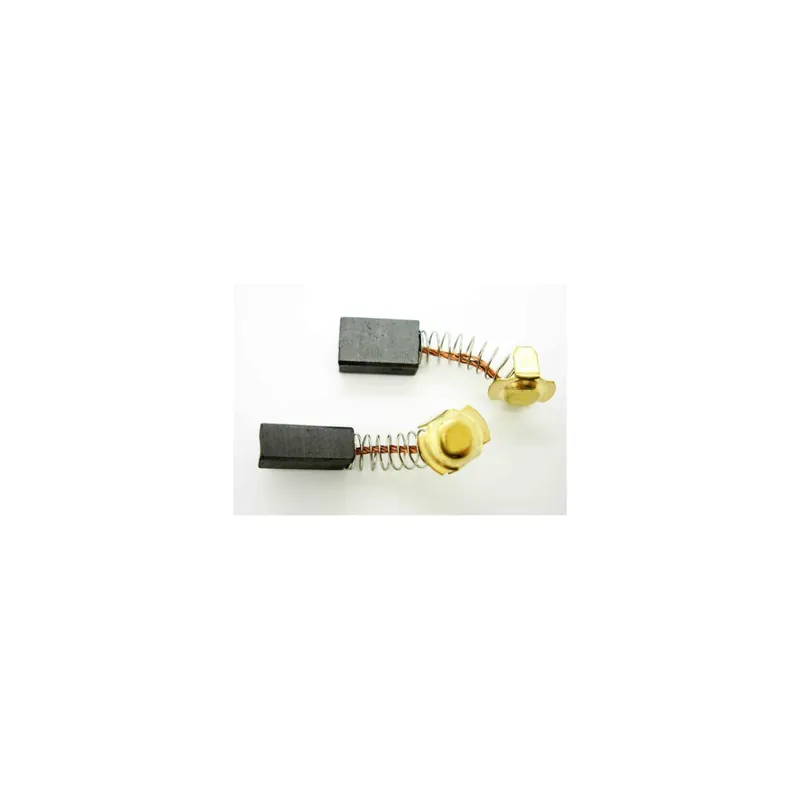 Ryobi Paire de Charbons 5131000952 - 6540045