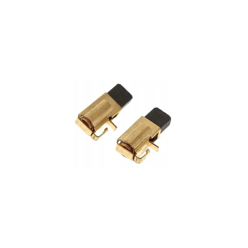AEG Set de Charbons 4931392563