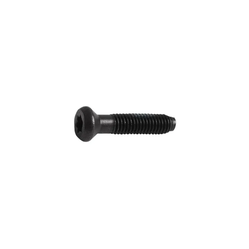Dewalt Vis de mandrin 5x20 Torx (149518-01)