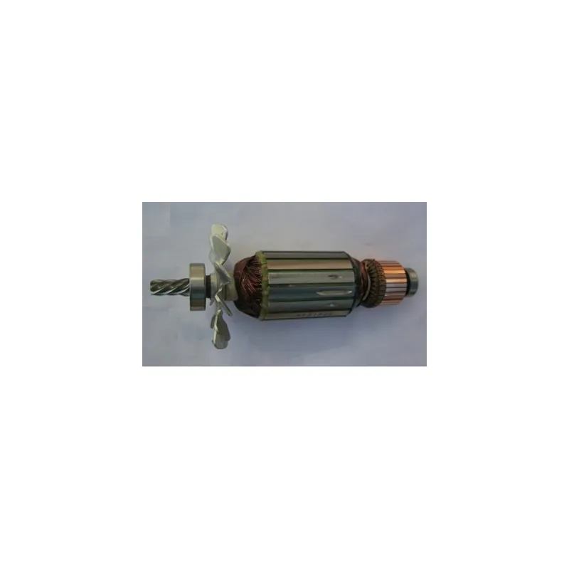 Dewalt N085931 Induit 230V D28710