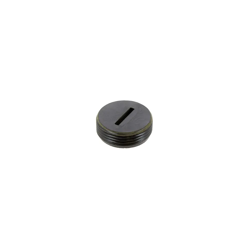 Ryobi 5131017723 Bouchon de Port-charbons (x1)