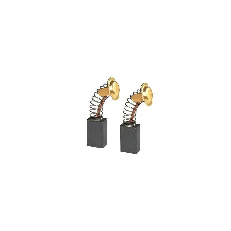 Bosch 1619PA3196 Paire de charbons scie PTS10, PG26