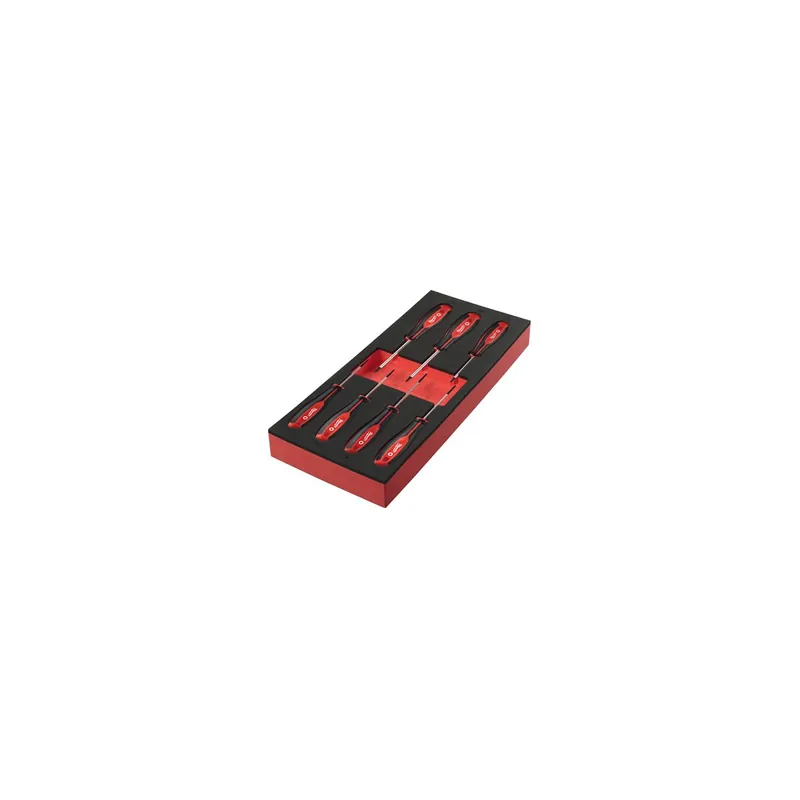 Milwaukee Jeu de x7 tournevis TORX avec module mousse pour servante d‘atelier (4932492391)