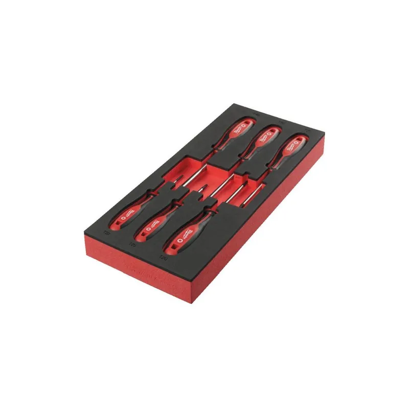 Milwaukee Jeu de x6 tournevis TORX avec module mousse pour servante d‘atelier (4932492392)