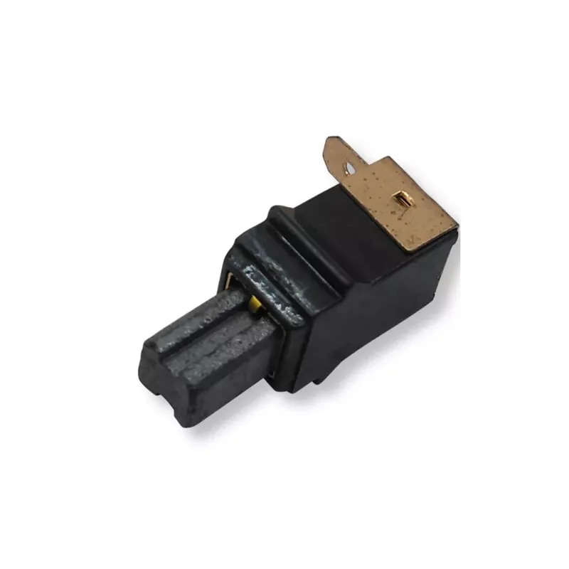 Ryobi Charbon avec support pour ponceuse excentrique ROS300 & ROS310 (5131030635)