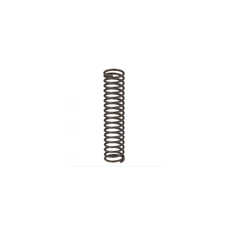 Hikoki Ressort de commutateur pour perforateur (317223)