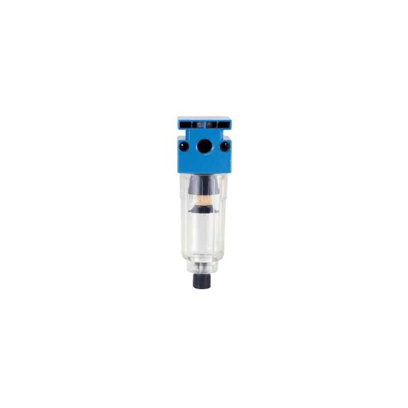 Filtre épurateur 10 microns avec sorties 1/4"F