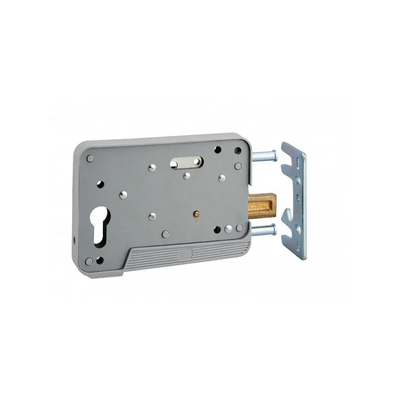 Boîtier cyl. réver. 900069 pour porte bois ou pvc gris Thirard