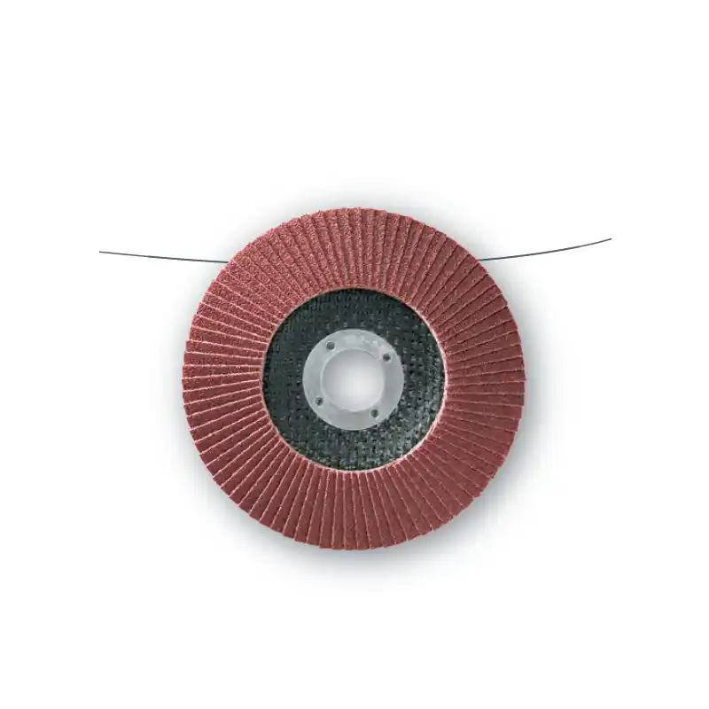 10 Disques Lamelles Lamdisc Conv. D.115x22,23 A120 Support Fibre