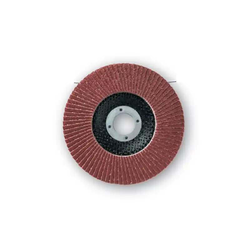 10 Disques Lamelles Lamdisc Plat D.125x22,23 A 60 Support Fibre