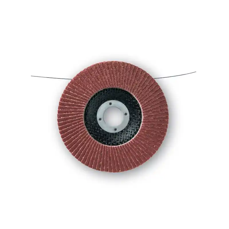 10 Disques Lamelles Lamdisc Plat D.125x22,23 A 80 Support Fibre