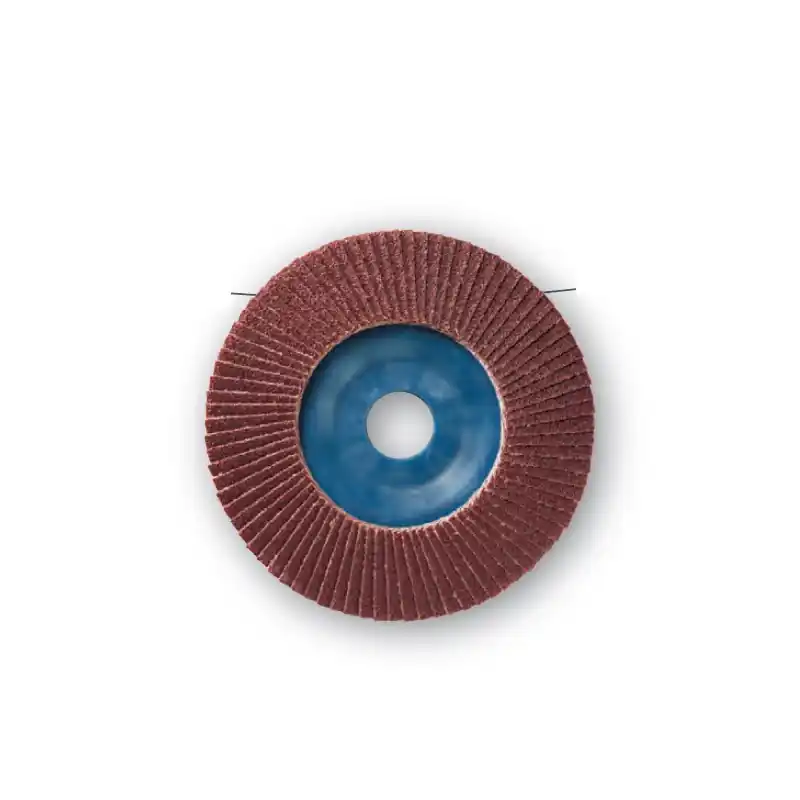 10 Disques Lamelles Lamdisc Plat D.125x22,23 A80 Support Nylon
