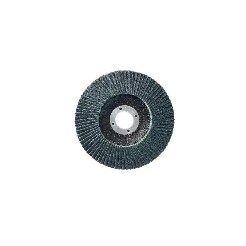 10 Disques Lamelles Misterlam Conv D.125 X 22,23 Z 60 Supp. Fibre