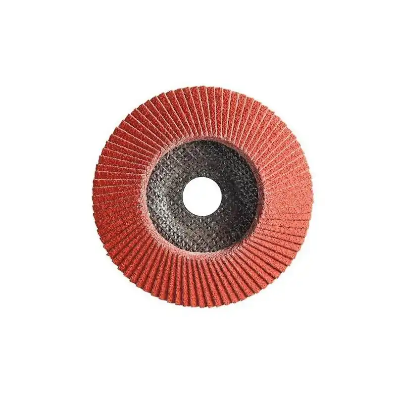 10 Disques Lamelles Lamextra Conv. D.125 X 22,23 Cr 60 Supp Fibre