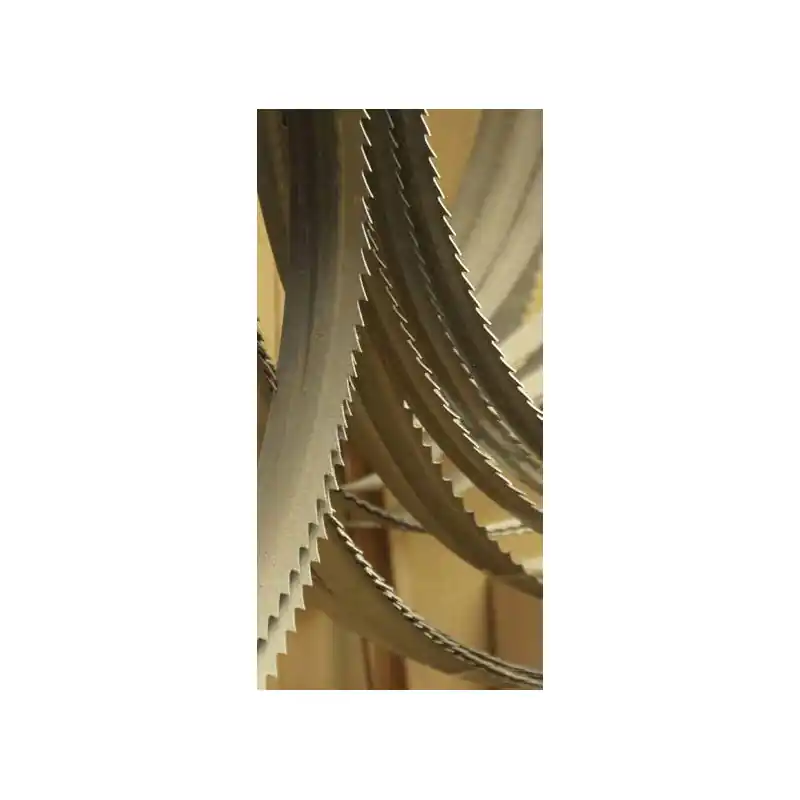 5 Lames de scie à ruban bimétal 2480x27x09 mm 6/10 Z/1" N251DAXL-N250D