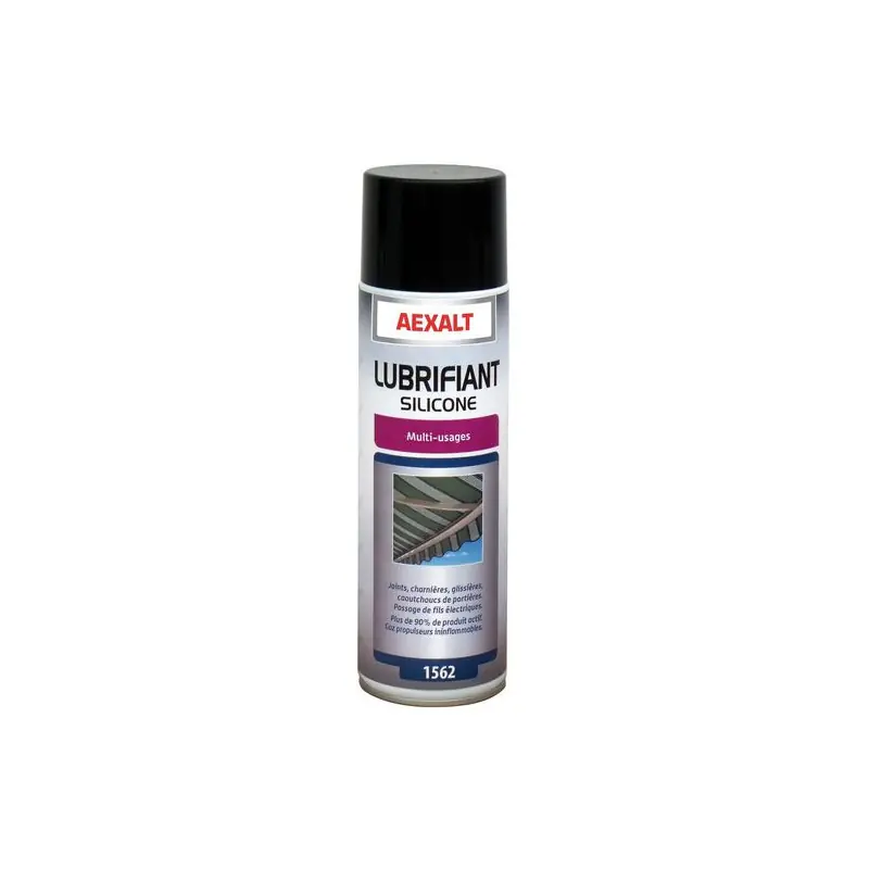 Aérosol lubrifiant silicone Porte de douche x 650 ml