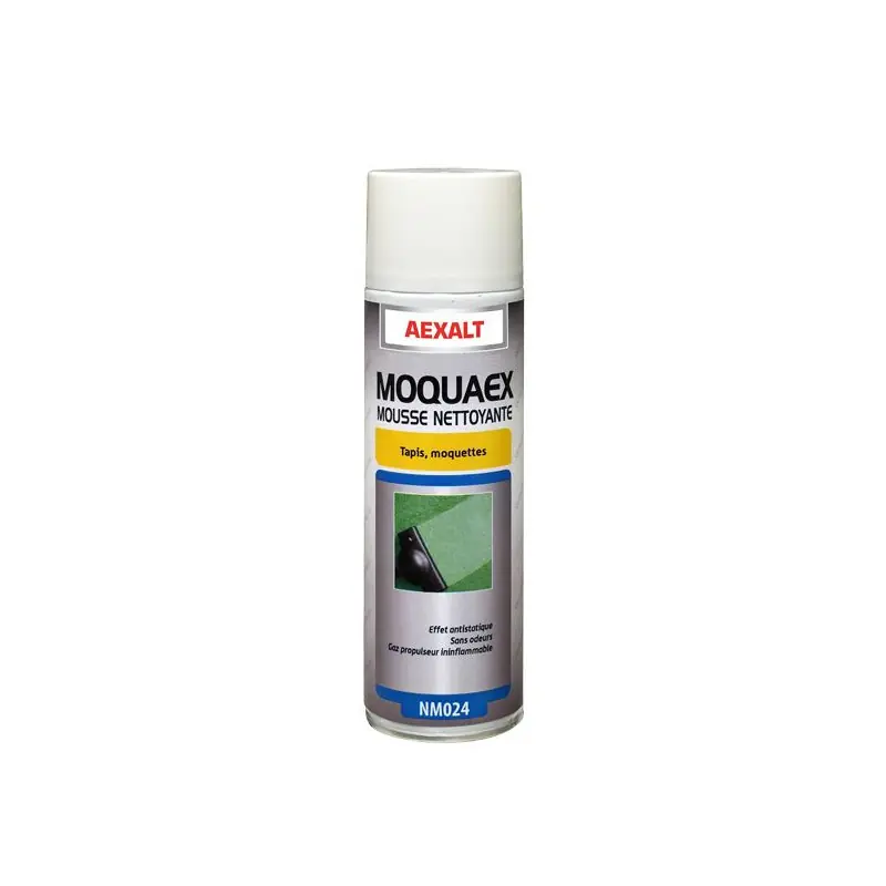 Aérosol mousse nettoyante Porte douchex650 ml tapis et moquette MOQUAE